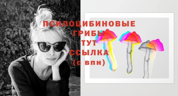 ПСИЛОЦИБИНОВЫЕ ГРИБЫ Арсеньев