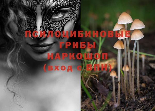 герыч Аркадак
