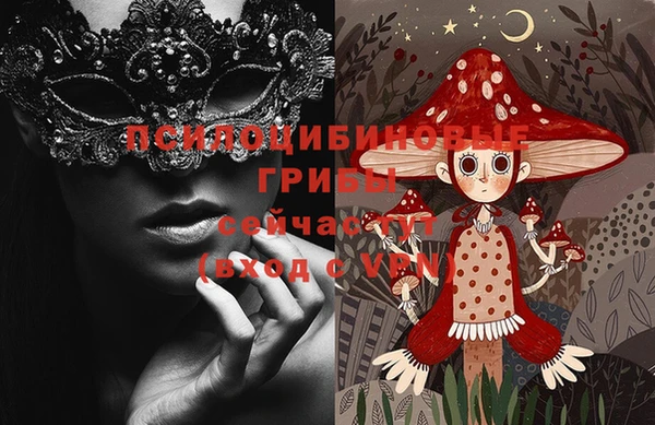 ПСИЛОЦИБИНОВЫЕ ГРИБЫ Арсеньев