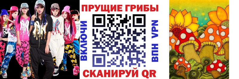 даркнет сайт Арсеньев Галлюциногенные грибы MAGIC MUSHROOMS